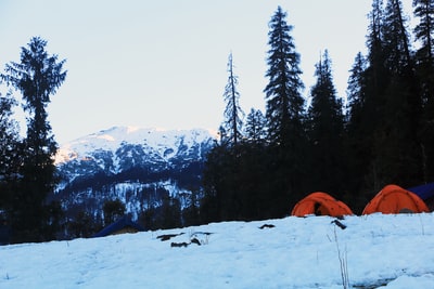 棕色帐篷附近地面上冰雪覆盖绿色树木白天
